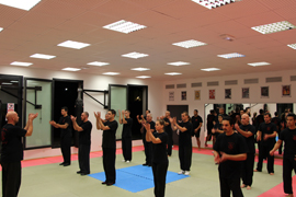 B.S.A. Beladiri Silat Académie travail mains nues, self défense efficace et concrète