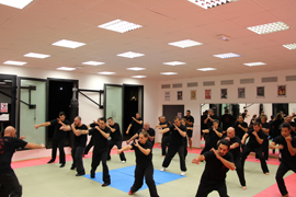 B.S.A. Beladiri Silat Académie travail mains nues, self défense efficace et concrète