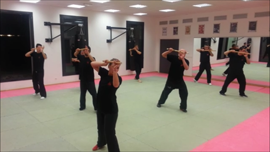 B.S.A. Beladiri Silat Académie travail armes, kali, escrima, arnis self défense efficace et concrète