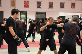 B.S.A. Beladiri Silat Académie travail mains nues et armes, kali, escrima, arnis self défense efficace et concrète 